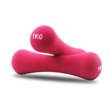 Load image into Gallery viewer, 1 Kg Dumbbell  1 Piece